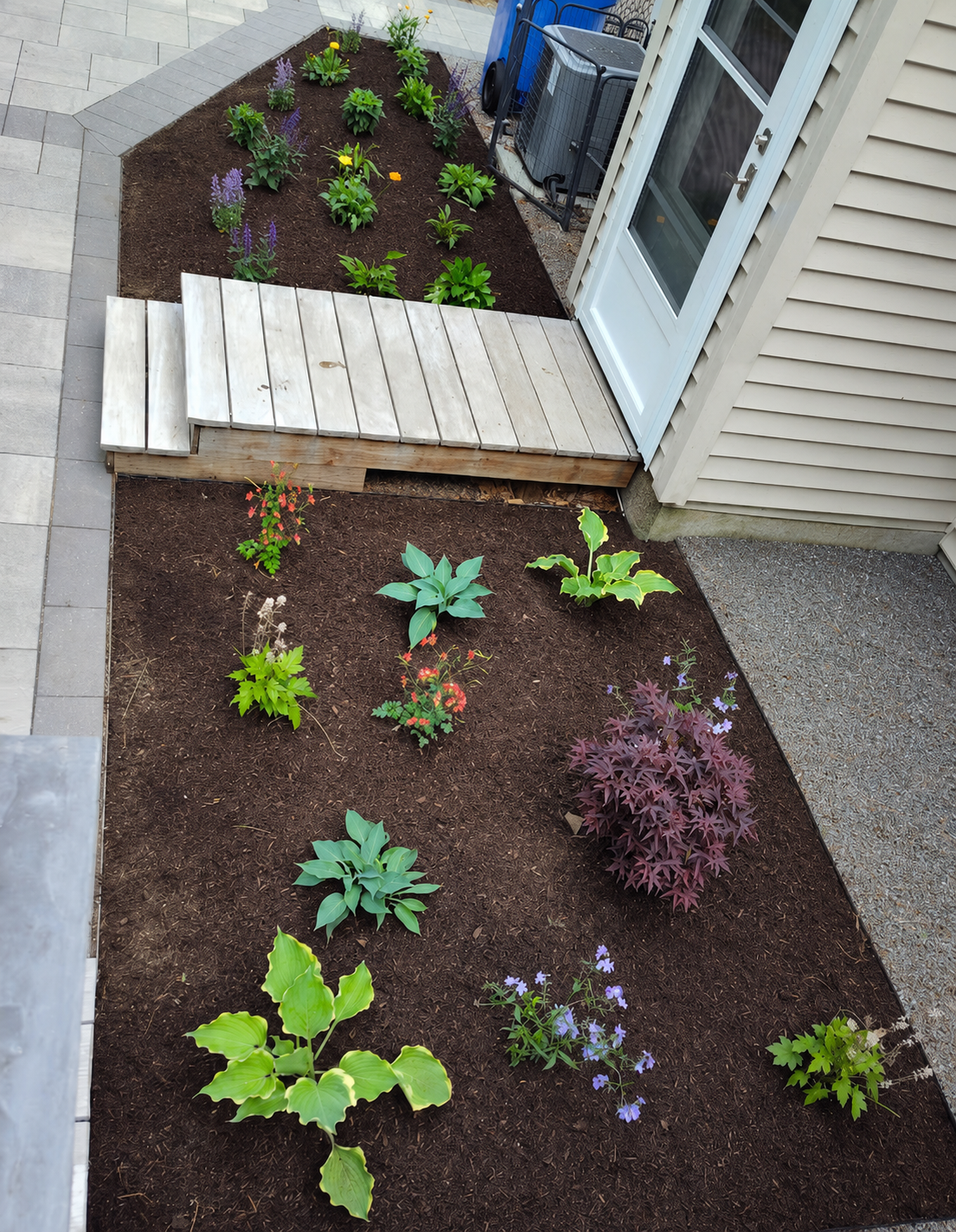A freshly planted garden bed with hostas, perennials, and a wooden ramp beside a home entry